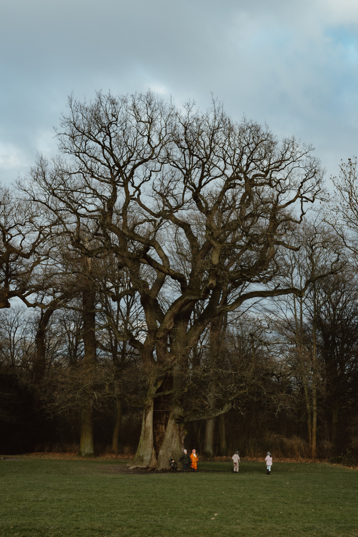 Image 6: Hamburgs Parks